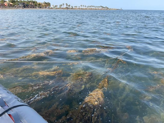 El Ayuntamiento de Los Alcázares advierte del estado crítico del Mar Menor tras las últimas lluvias