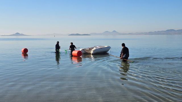 Los Alcázares pone en marcha una prueba piloto de retirada manual de Caulerpa en las playas del municipio