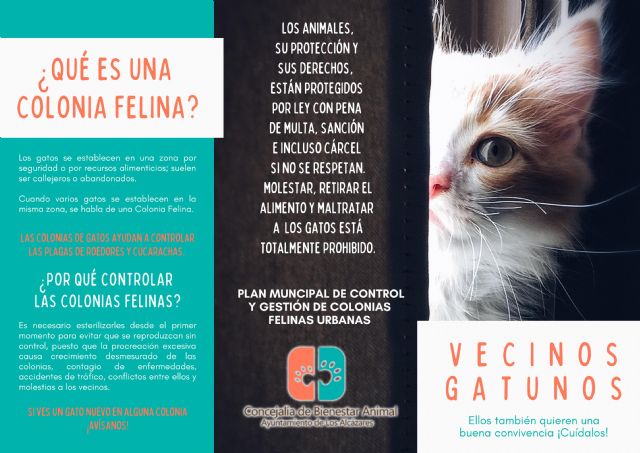 La Concejalía de Bienestar Animal del Ayuntamiento de Los Alcázares pone en marcha el Plan Municipal de Gestión y Control de Colonias Felinas